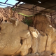 Illustration for article titled Experts Assess The Damage Wrought By ISIS At The Mosul Museum